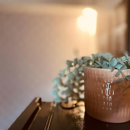 Apartment Nuit Sous Le Clocher - 374 *